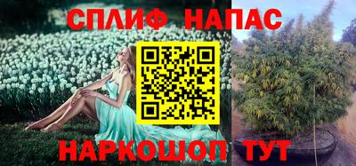 крисы Тулун