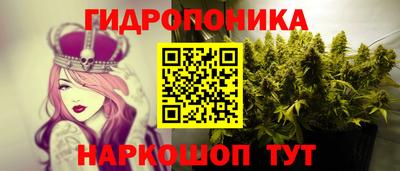 кокс Тула