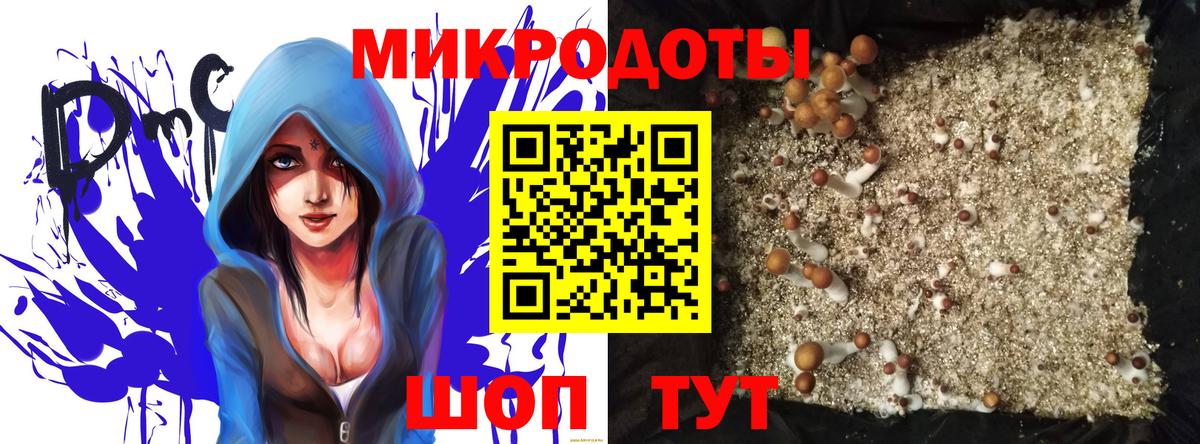 Нефтекамск  Псилоцибиновые грибы Psilocybe  Вход с VPN 